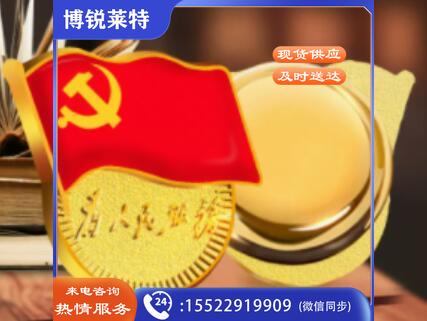 党徽徽章 加厚(磁吸) TJRR SFYJD202302080915406