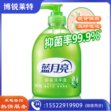 蓝月亮洗手液500g.