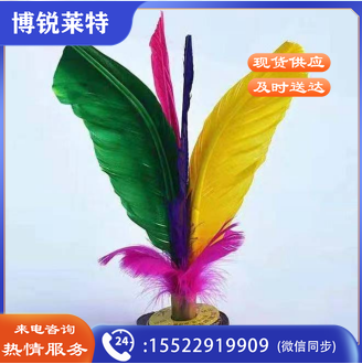 毽子 软毛鸡毛毽子 学生毽子 单位：个
