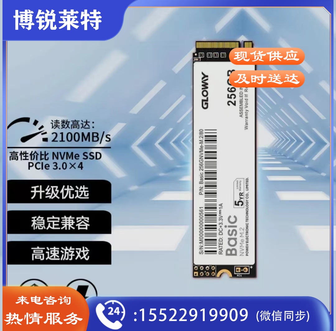 光威 256GB SSD固态硬盘 M.2接口(NVMe协议) Basic-基础版 TLC颗粒