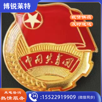 团徽徽章正版 加厚 标准型团徽 背面带 共青团中央监制字样(50个起售)