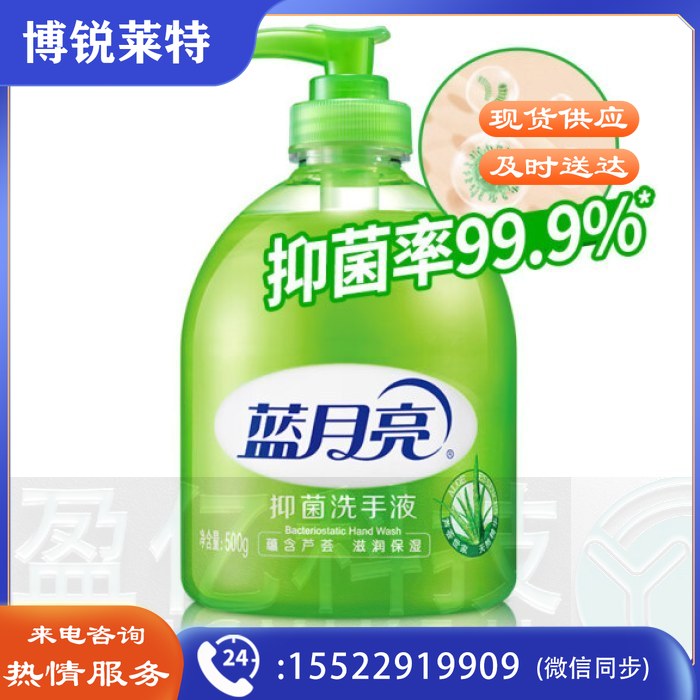 蓝月亮洗手液 芦荟抑菌 500g/瓶