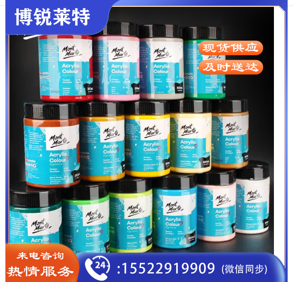 蒙玛特（Mont Marte） 丙烯颜料套装手绘涂鸦墙绘t恤diy丙烯画 300ml 常用12色