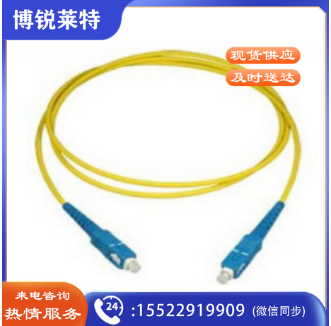 光纤跳线SC-SC 10米
