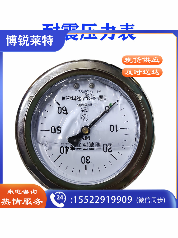 轴向带边耐震压力表