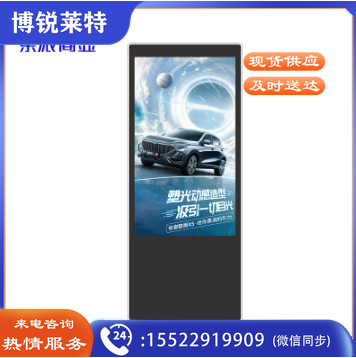 乐派商显（NETPAL）55英寸立式红外触摸广告机 落地交互式查询触摸触控一体机 LPSX-550HA
