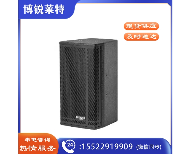 SEEBURG 单10" 专业全频音箱 黑色