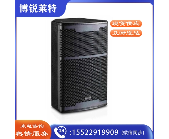 SEEBURG 单12" 专业全频音箱 黑色