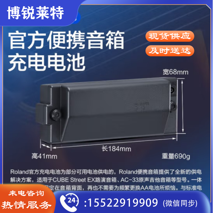 Roland罗兰cube-stex户外音箱专用充电大容量锂电池多功能蓝牙移动电源 Roland原装充电锂电池