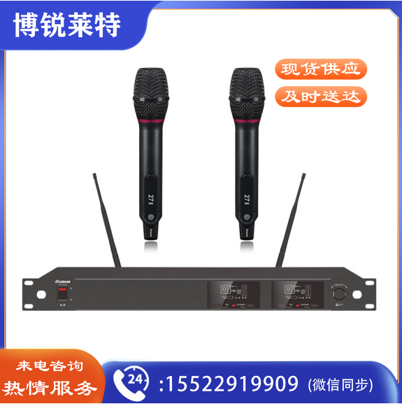 湖山  无线话筒DS-UA20 一拖二无线麦克风