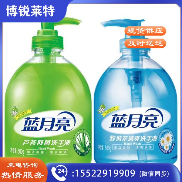 蓝月亮 500g芦荟洗手液+500g野菊花洗手液 芦荟野菊花洗手液套装
