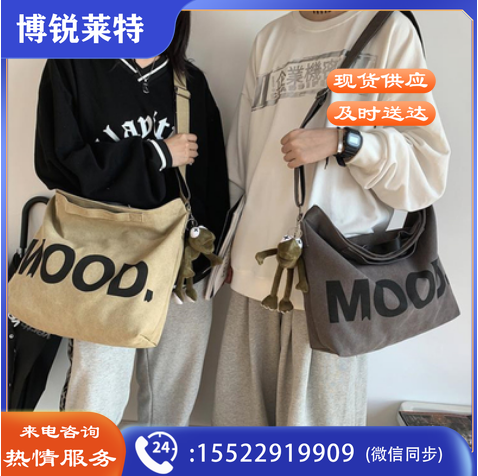 帆布包女单肩包斜挎包包布袋手提2023年新款大学生上课大容量手提包