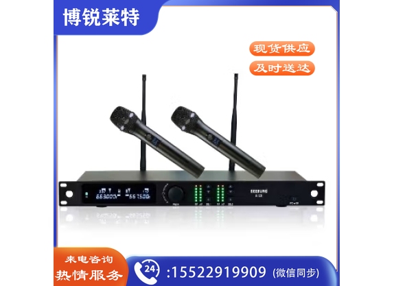 SEEBURG 专业无线麦克风 黑色
