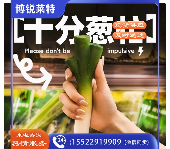 赏味期限 蔬菜系列-大葱 创意解压玩具 仿真