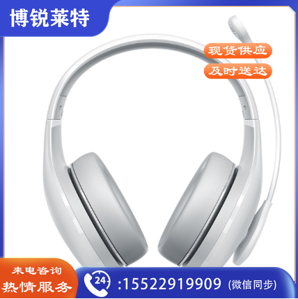 小米蓝牙耳机（K歌版） 内置混响 |原唱消音 |趣味变音|高清录音