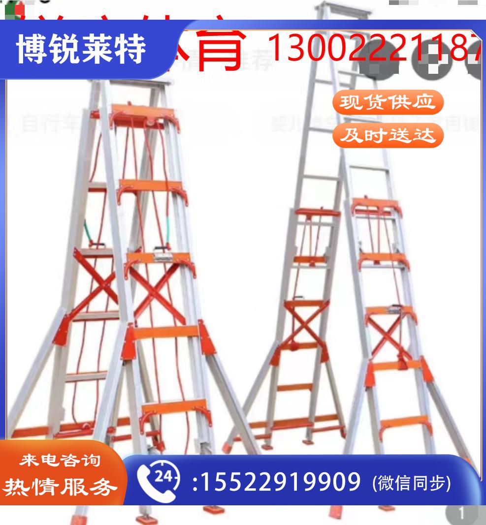 威利达加长梯子WJ一9911
