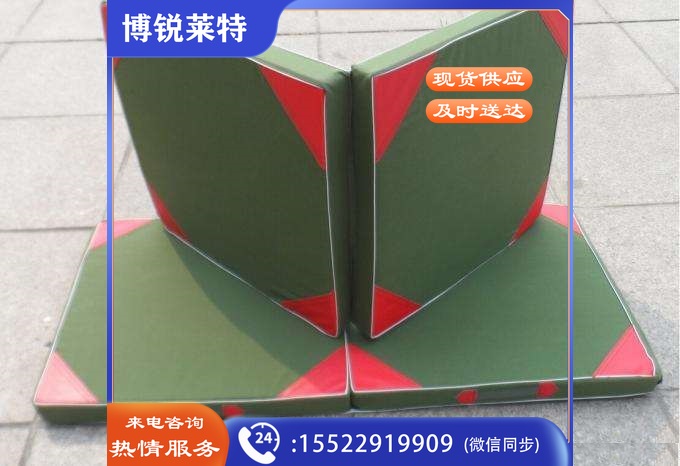 WLD一7037 体操垫 2块一组