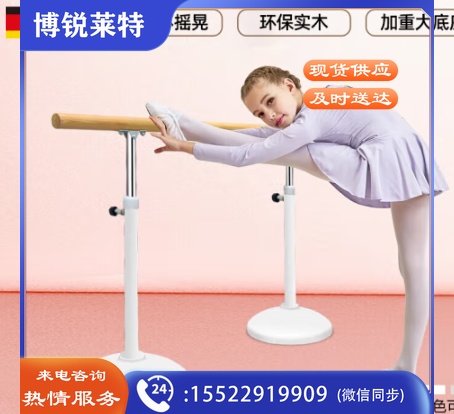 把杆固定式升降成人