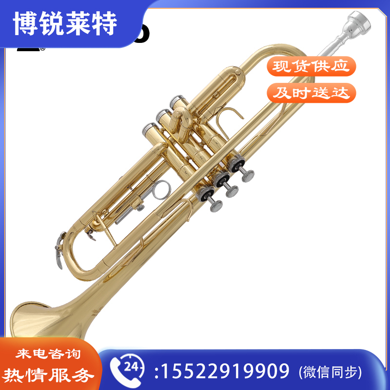 津宝JBTR-300小号乐器降B调儿童初学学生演奏考级漆金西洋吹管乐器