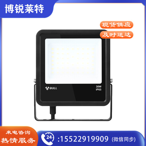 公牛 LED投光灯 户外庭院工地园林照明灯 IP65防水室外灯大功率高亮度30W-6500K白光 一个价