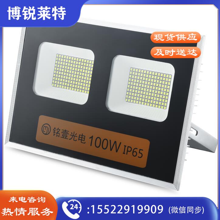 铭壹（MYMY11）LED投光灯防水景观灯户外防水照明灯 MTG04款 100W