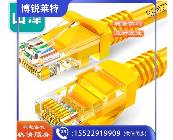山泽(SAMZHE)YL-503 超五类网线 CAT5e类高速百兆网线 3米 黄色