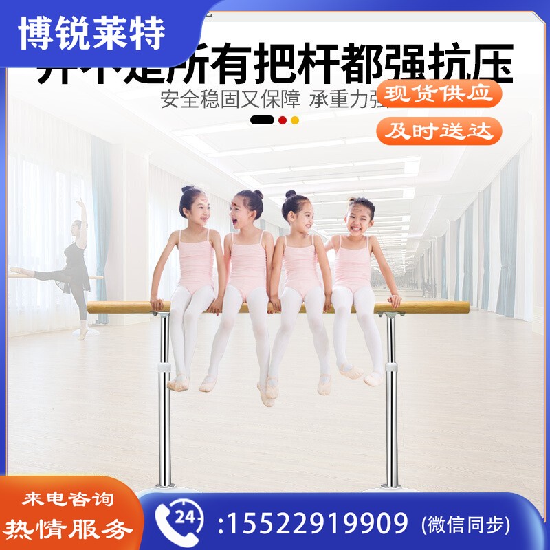 健伦（JEEANLEAN）双层移动固定升降式成人把杆2米JL-SCBG