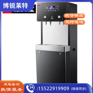 德玛仕 DEMASHI SRZ-30/SRZ-2L-L7 直饮水机 商用净水器 学校用开水器 商用烧水机 一开一净