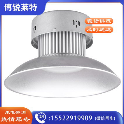 铭壹（MYMY11）LED吊装投光灯MGK-03 100W