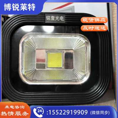 铭壹 TG1 30W投光灯 防水户外灯 室外灯泛光灯