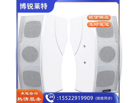 教学扩声系统音箱 SP590