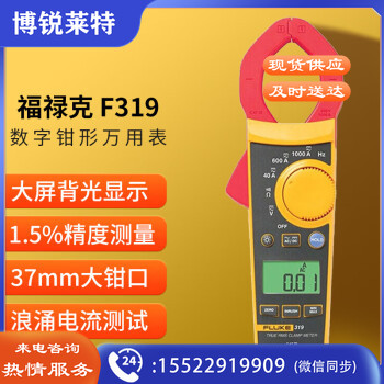 福禄克（FLUKE）F319 真有效值交直流数字钳形表 数字多用表 电流表万能表 1000A