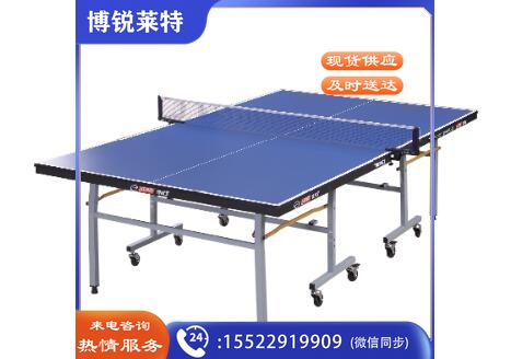 红双喜T2023乒乓球台