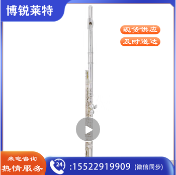 雅马哈（YAMAHA）长笛YFL-222闭孔长笛16键初学者长笛C调长笛 YFL-222 【无E键分割】