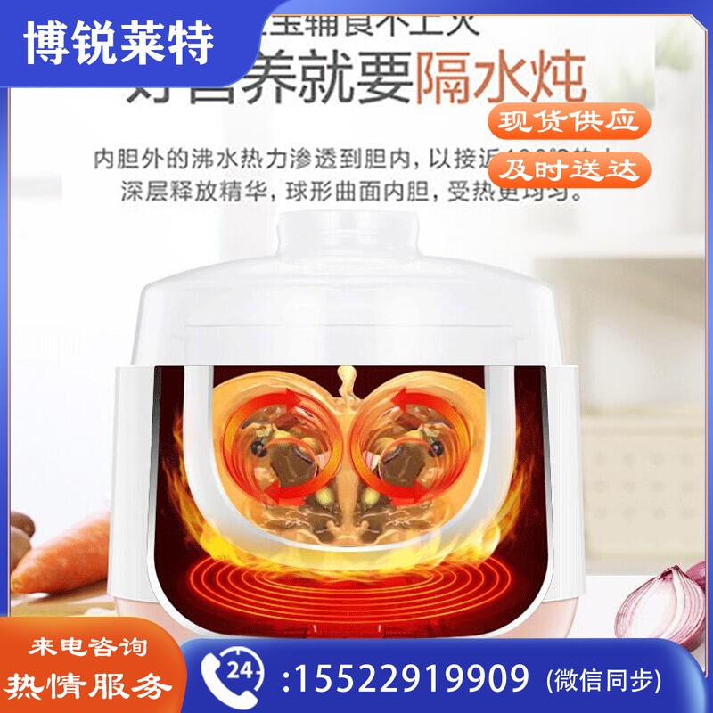  美的（Midea） 电炖锅 隔水炖煲汤锅 七大烹饪功能电砂锅 白瓷内胆 防干烧迷你电炖盅 DZ08Easy101