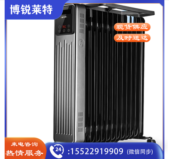 先锋(Singfun)取暖器电暖气电暖器电热油汀全屋取暖烘衣加湿节能省电遥控&触屏高清屏 13片DYT-Z9R