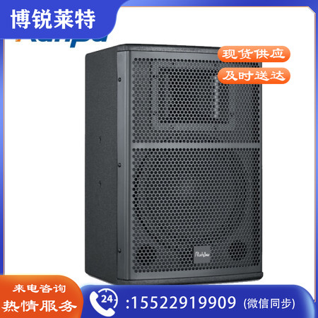 润普RP-AM15 国产化会议室音响/15英寸音箱（全频音箱）一对