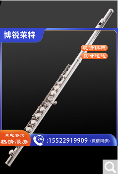 雅马哈（YAMAHA）长笛222标准型学生初学专业西洋笛子乐器成人儿童通用乐团管乐 YFL-S2【新款-带E键分割】