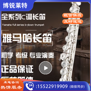 原装雅马哈长笛YFL-212DR标准C调长笛初学儿童考级 16孔闭孔镀银长笛212DR