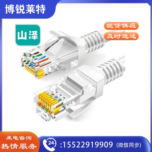 山泽(SAMZHE)ZW-015 超五类网线 CAT5e类高速百兆网线 1.5米 网线 贝吉色（10根起售）