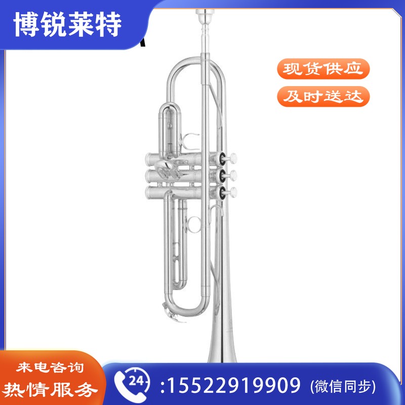 雅马哈（YAMAHA）YTR-S1S 黄铜降B调小号成年儿童初学入门考级专业演奏Bb调 镀银