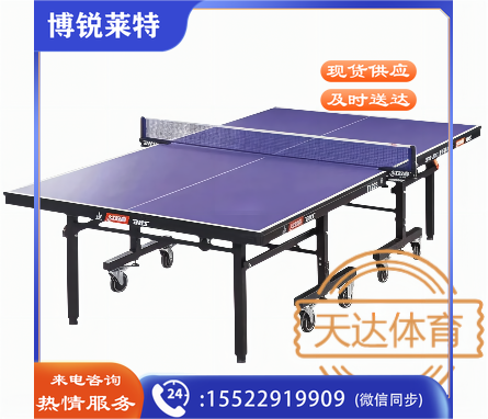 红双喜/DHS，乒乓球台，T1223