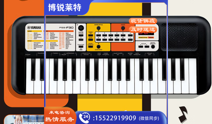 雅马哈电子琴F30/E30/A50便携37键小孩宝宝音乐启蒙早教初学PSS系列 PSS-E30官方配置