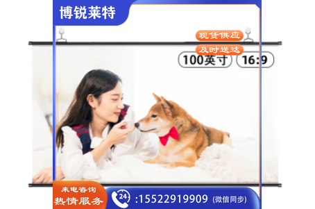 得力(deli)100英寸16:9白塑挂壁悬挂式简易投影仪 悬挂投影幕布 适配坚果极米当贝小米投影机幕布50448
