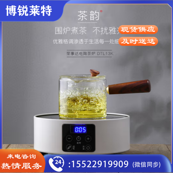荣事达（Royalstar）迷你电陶炉 泡茶煮茶器黑茶养生茶炉 DTL13K