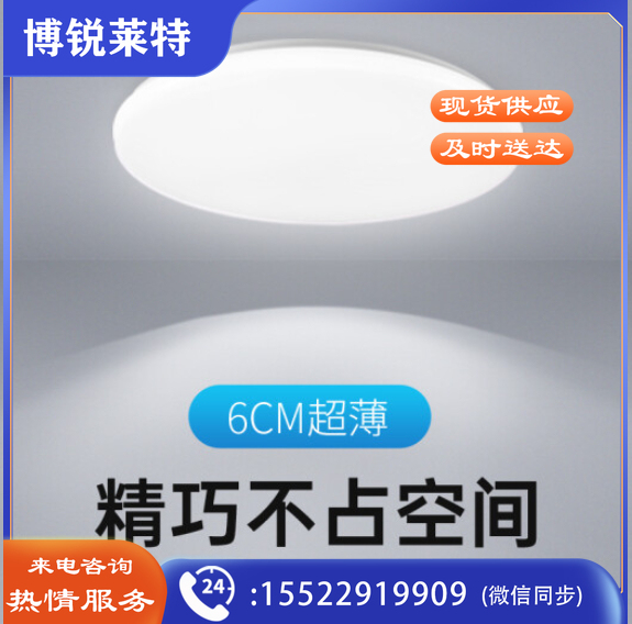LED卧室灯吸顶灯 现代简约阳台灯过道灯走廊玄关灯楼道灯工程面包灯 24W白光