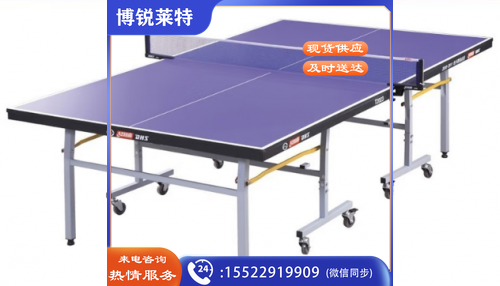 红双喜（DHS） 红双喜乒乓球桌