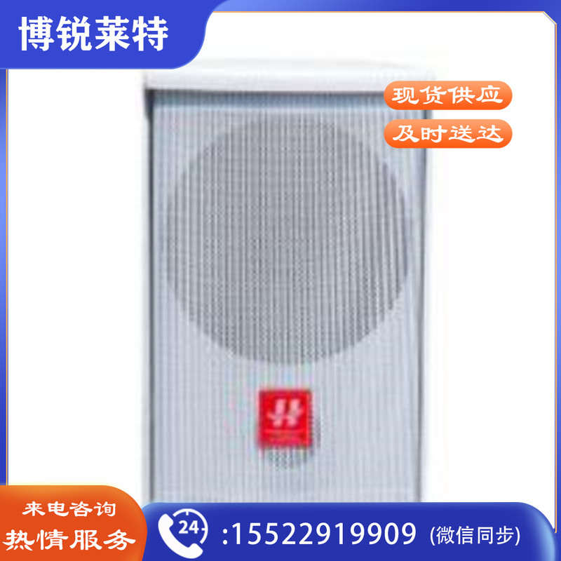 湖山  HY系列音箱 HY100