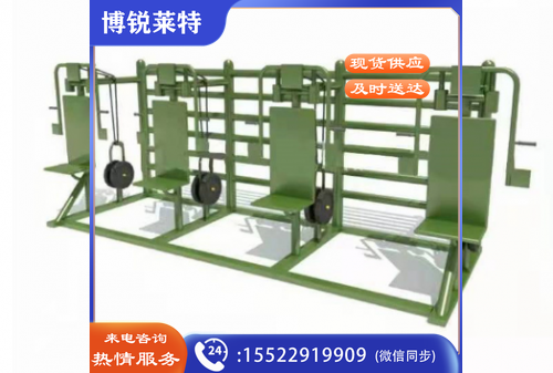 X-RIVAL FITNESS胸大肌组合训练器