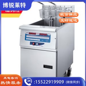 德玛仕 DEMASHI NTP18EF 电炸炉 商用 小吃油炸锅油炸机 油条薯条炸串机 重型立式 可选配滤油 单槽